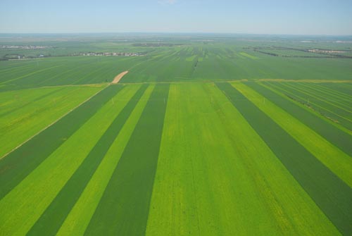 無土栽培,無土栽培技術,無土栽培設備