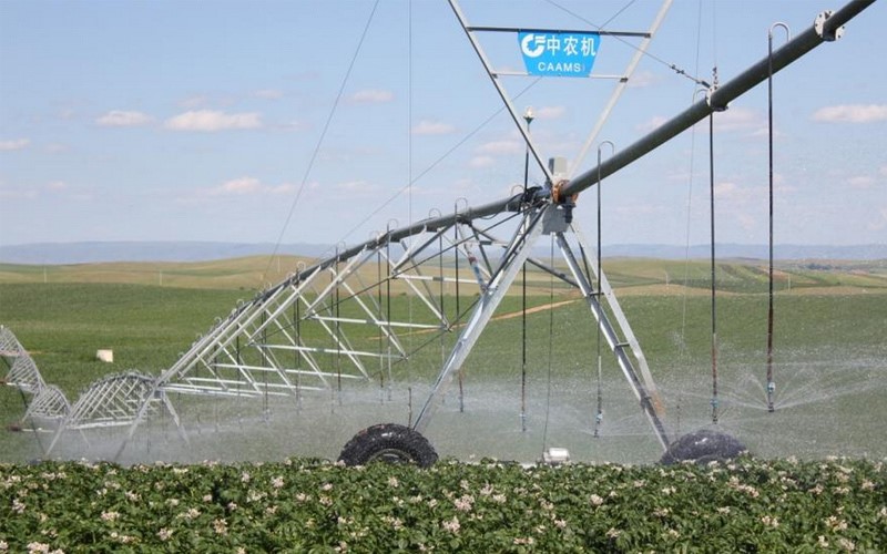 無(wú)土栽培,無(wú)土栽培技術(shù),無(wú)土栽培設(shè)備