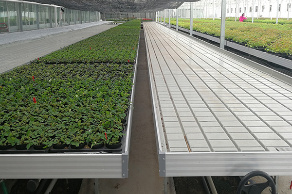 無(wú)土栽培，無(wú)土栽培技術(shù)，無(wú)土栽培設(shè)備