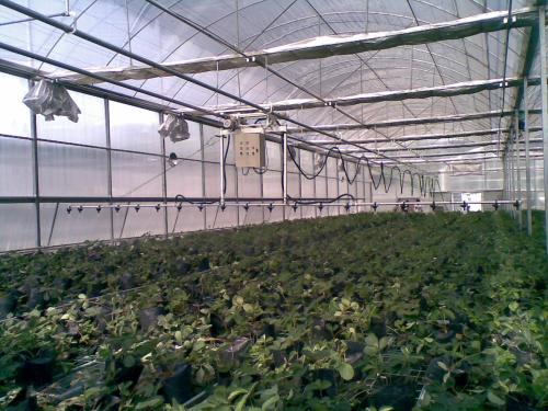 無(wú)土栽培，無(wú)土栽培技術(shù)，無(wú)土栽培設(shè)備