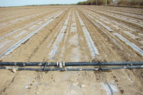無土栽培，無土栽培技術，無土栽培設備
