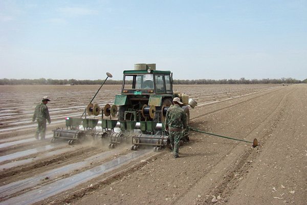 無土栽培，無土栽培技術，無土栽培設備