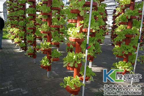 立體，無土栽培，無土栽培技術