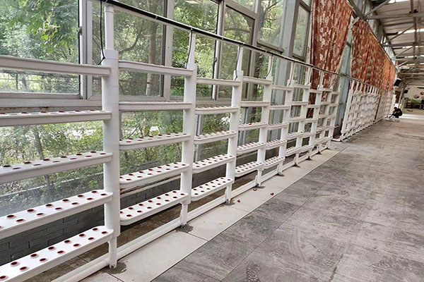 無土栽培，無土栽培技術，無土栽培設備