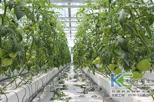 無土栽培，無土栽培技術，無土栽培設備