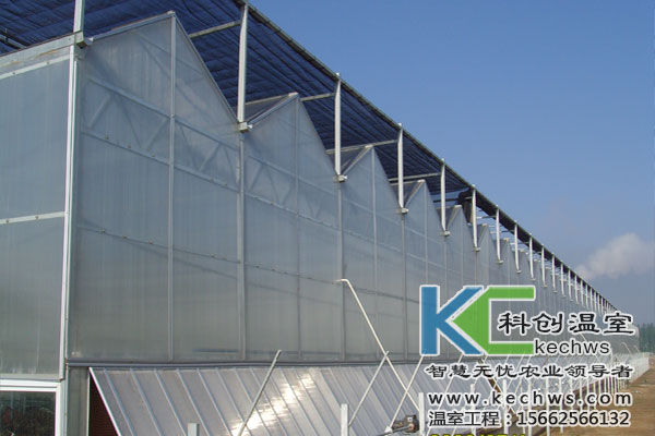 無(wú)土栽培，無(wú)土栽培技術(shù)，無(wú)土栽培設(shè)備