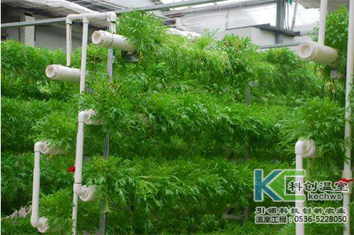 無土栽培，無土栽培技術(shù)，無土栽培設(shè)備