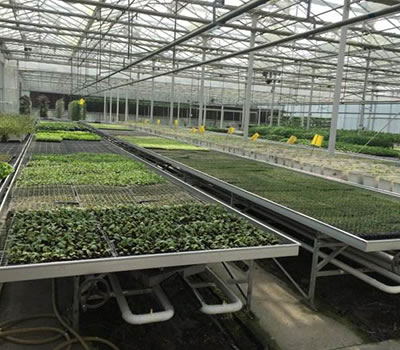 無(wú)土栽培，無(wú)土栽培技術(shù)，無(wú)土栽培設(shè)備