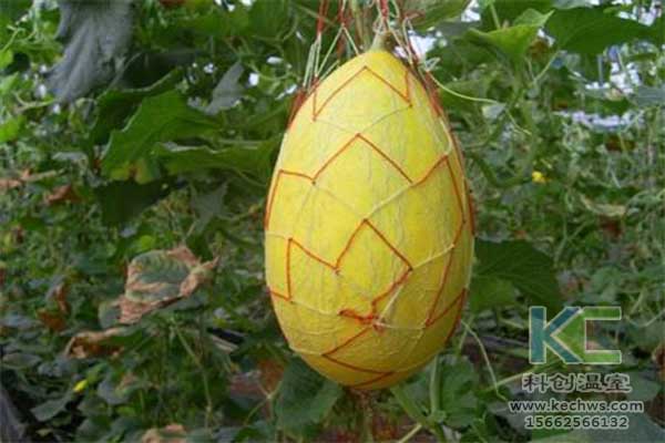 無土栽培，無土栽培技術，無土栽培設備