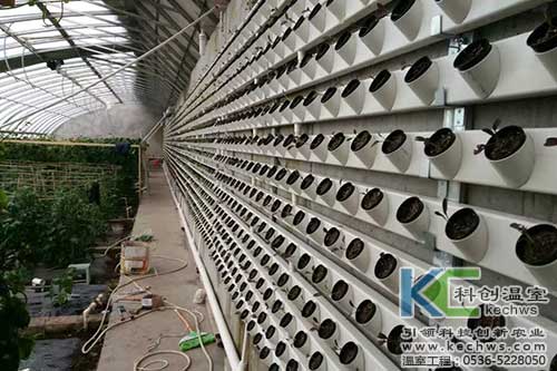 立體栽培,無(wú)土栽培,無(wú)土栽培技術(shù)