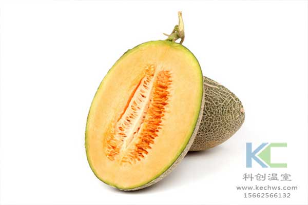 無土栽培，無土栽培技術，無土栽培設備