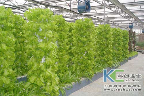 無(wú)土栽培，無(wú)土栽培技術(shù)，無(wú)土栽培設(shè)備