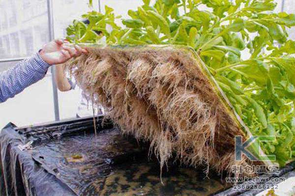 無土栽培，無土栽培技術(shù)，無土栽培設(shè)備