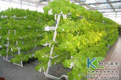 無土栽培，無土栽培技術，無土栽培設備