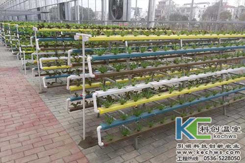 無土栽培，無土栽培技術(shù)，無土栽培設(shè)備