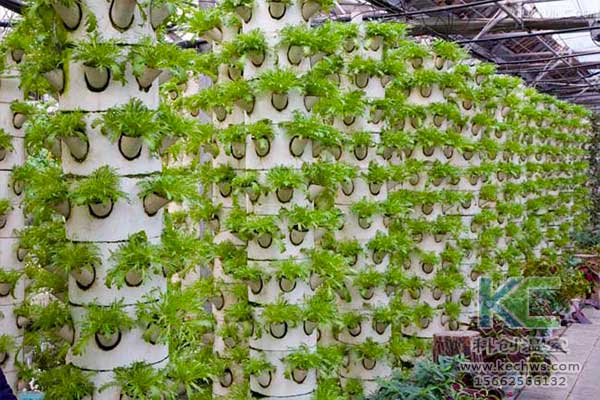 無土栽培，無土栽培技術(shù)，無土栽培設備