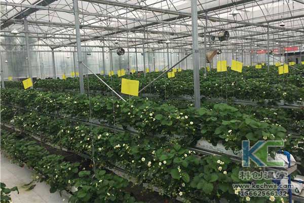 無土栽培，無土栽培技術，無土栽培設備