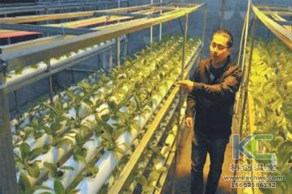 無土栽培，無土栽培技術，無土栽培設備