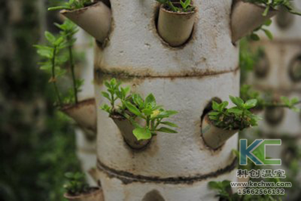 無土栽培，無土栽培技術，無土栽培設備