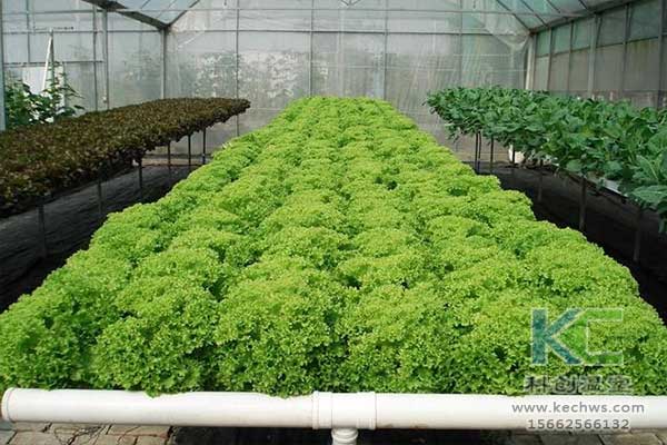 無土栽培，無土栽培技術，無土栽培設備