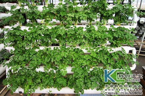 無土栽培，無土栽培技術(shù)，無土栽培設(shè)備