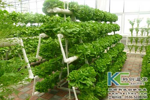 無土栽培，無土栽培技術(shù)，無土栽培設(shè)備