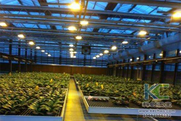 無土栽培，無土栽培技術，無土栽培設備