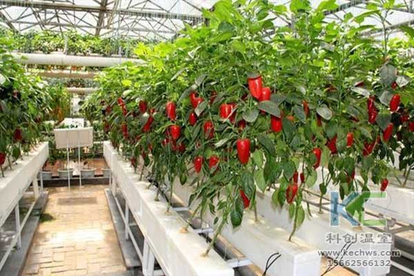 無土栽培，無土栽培技術，無土栽培設備