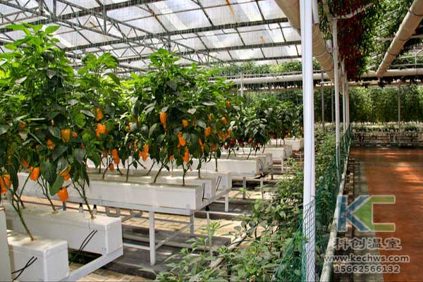 無土栽培，無土栽培技術(shù)，無土栽培設(shè)備