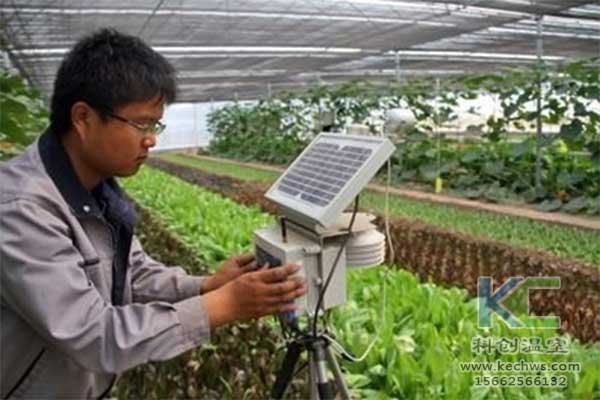 無土栽培，無土栽培技術，無土栽培設備