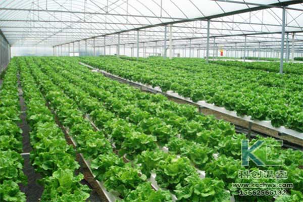 無土栽培，無土栽培技術，無土栽培設備