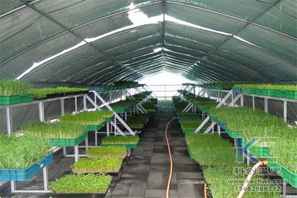 無土栽培，無土栽培技術