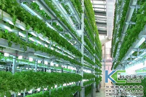 無土栽培，無土栽培技術，無土栽培設備