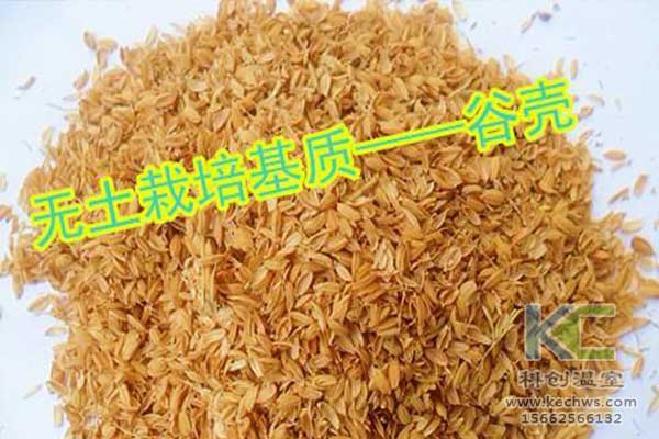 無土栽培，無土栽培技術，無土栽培設備