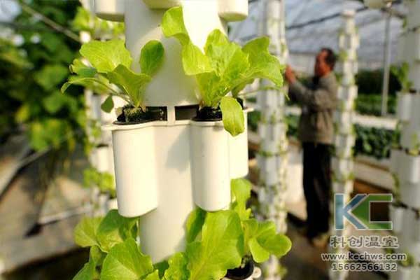 無土栽培，無土栽培技術，無土栽培設備
