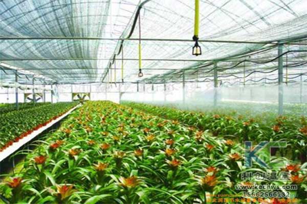 無(wú)土栽培，無(wú)土栽培技術(shù)，無(wú)土栽培設(shè)備