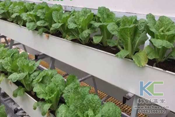 無土栽培，無土栽培技術，無土栽培設備
