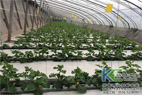 無(wú)土栽培，無(wú)土栽培技術(shù)，無(wú)土栽培設(shè)備