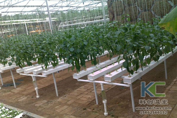 無土栽培，無土栽培技術，無土栽培設備