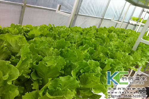 無土栽培，無土栽培技術，無土栽培設備