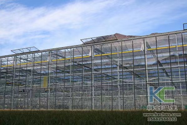 無土栽培,無土栽培技術,無土栽培設備