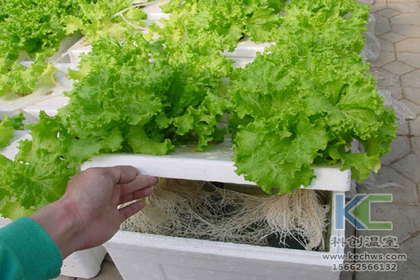 無土栽培技術，無土栽培設備，營養(yǎng)液，溫室大棚