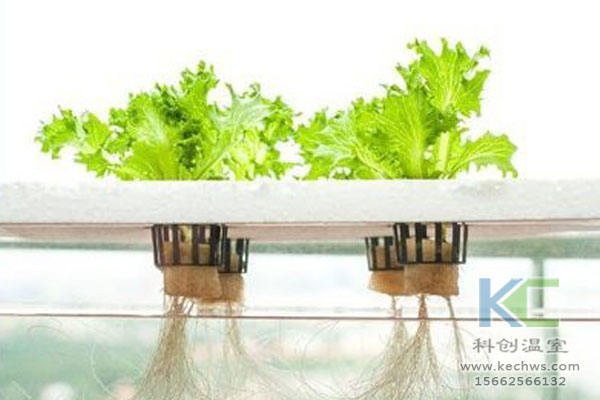 無(wú)土栽培技術(shù)，無(wú)土栽培設(shè)備，無(wú)土栽培，溫室大棚