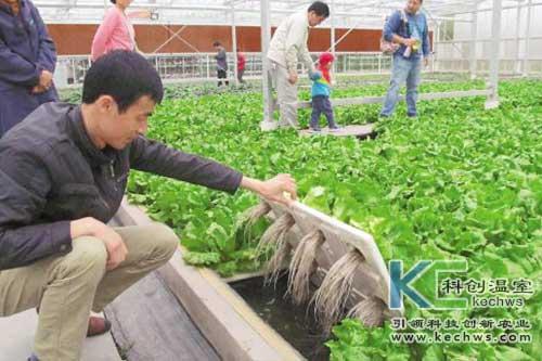 無土栽培,無土栽培技術,無土栽培設備