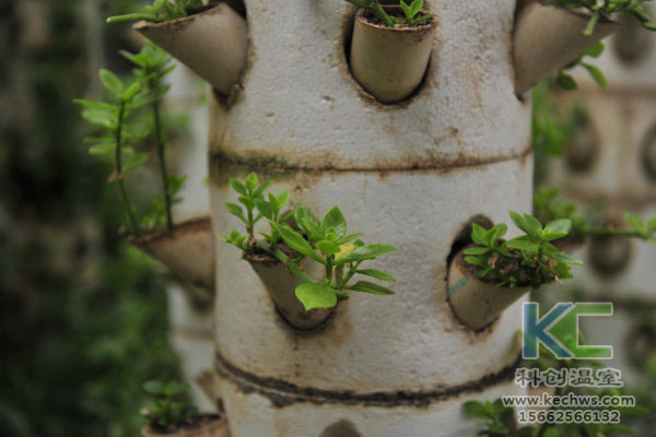 無土栽培，無土栽培技術，無土栽培設備