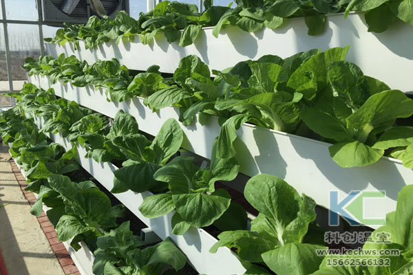 無土栽培，無土栽培技術，無土栽培設備