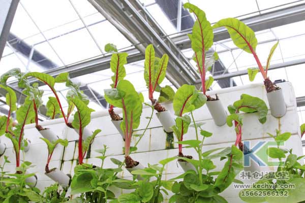 無土栽培，無土栽培技術，無土栽培設備