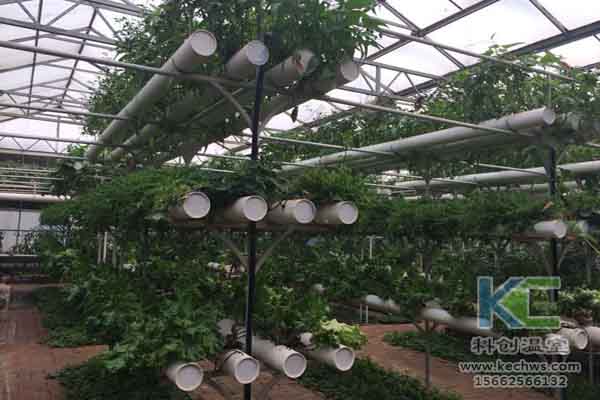 無土栽培技術，蔬菜大棚建設，溫室大棚，無土栽培