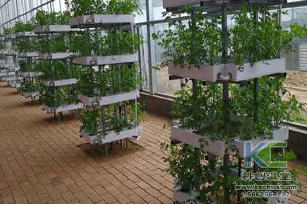 無土栽培技術，無土栽培設備，無土栽培，溫室大棚