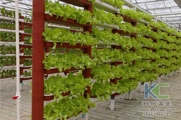 無土栽培技術(shù)，無土栽培設(shè)備，魚菜共生，溫室大棚